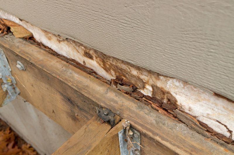 Dry Rot Siding Repair