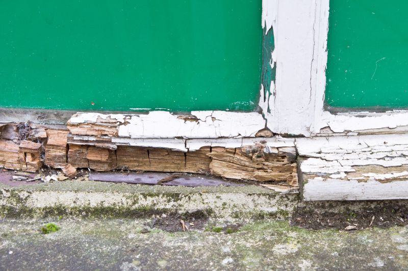 Decay Repair Service in Boulder, CO