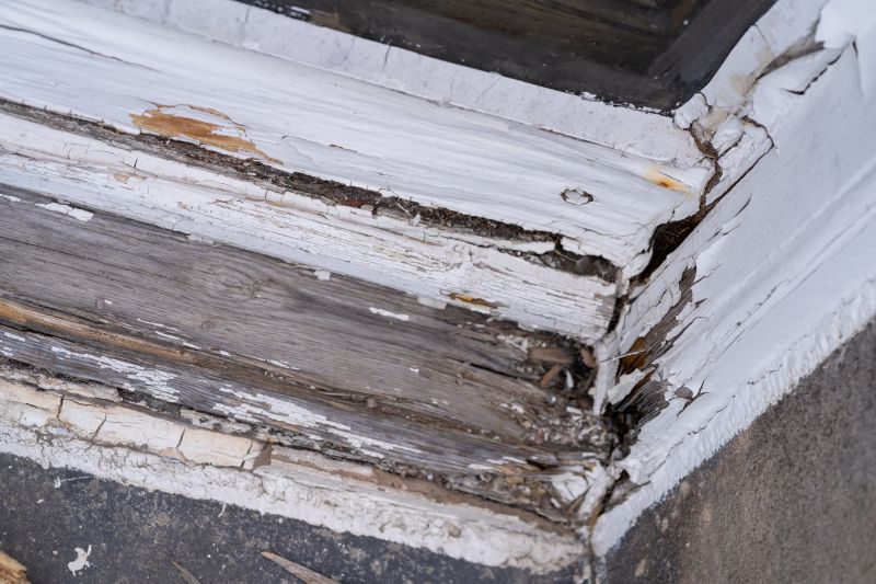Decay Repair Service in Indianapolis, IN