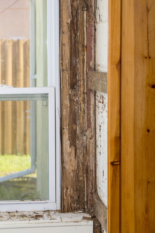 Dry Rot Repair in Denver County, CO