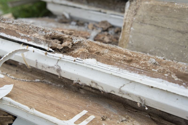 Dry Rot Repair in Denver County, CO