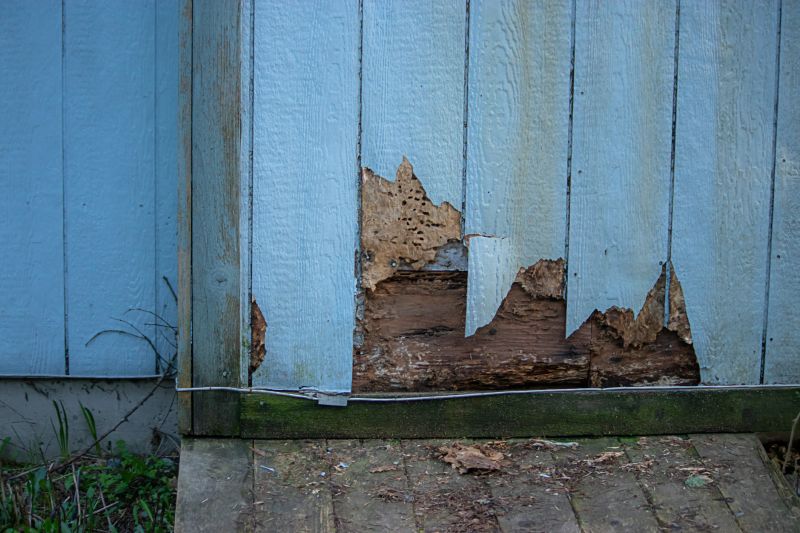 Dry Rot Siding Repair