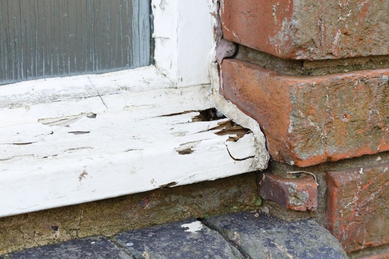 Rot Repair Service in Conroe, TX
