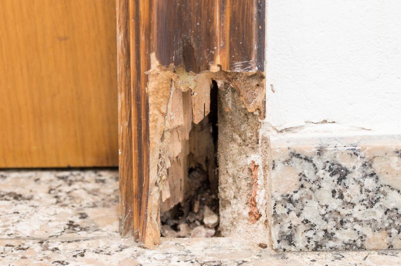 Rot Repair Service in Arvada, CO