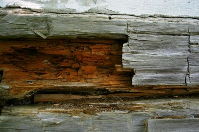 Rotten Wood Repair in Overland Park, KS