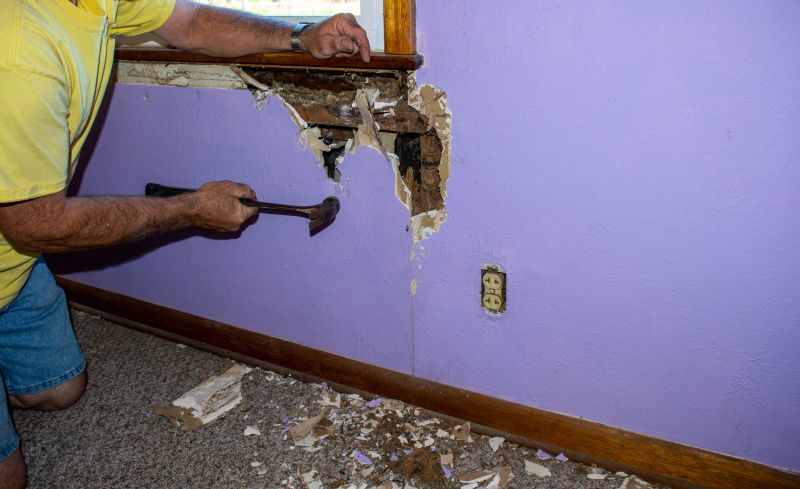 Termite Damage Repair Service in Overland Park, KS