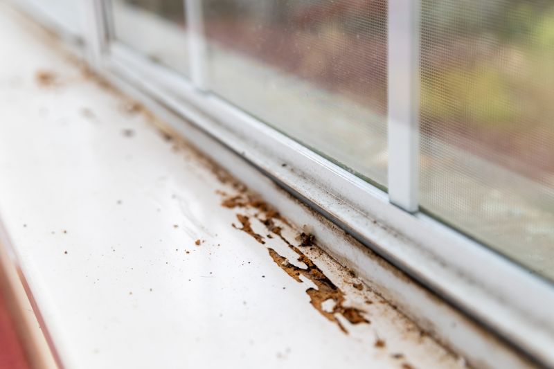 Window Rot Repair in Arvada, CO
