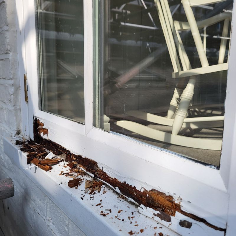 Window Rot Repair in Arvada, CO