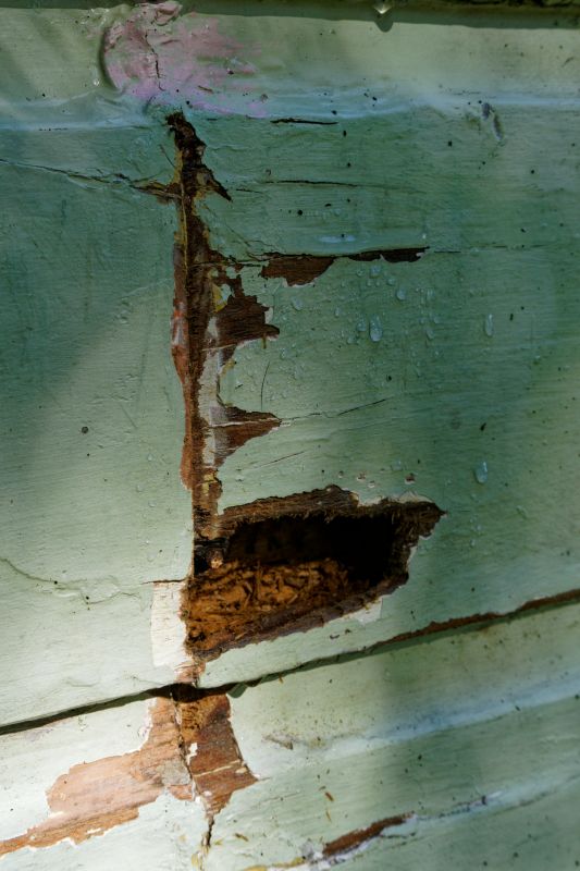 Wood Decay Repair in Boulder, CO