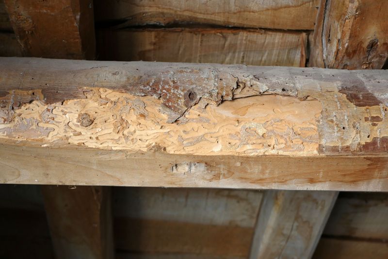 Wood Decay Repair in Kansas City, KS