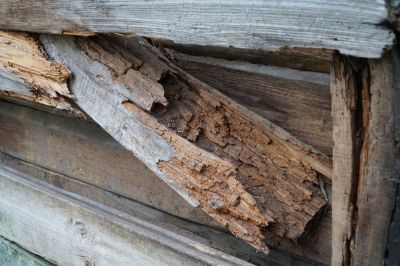 Get Dry Rot Repaired Right Away