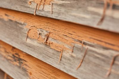 Prevent the Structural Deterioration of Your Dry Rot Siding!